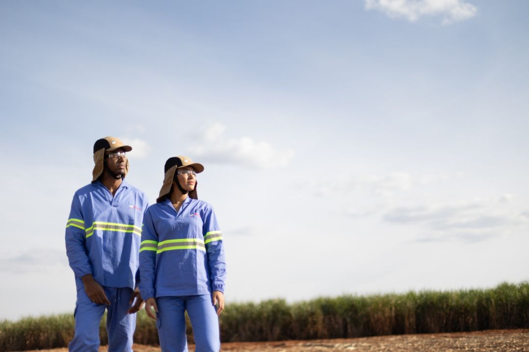 Tereos reduz em 41% acidentes com afastamento e reforça cultura de segurança