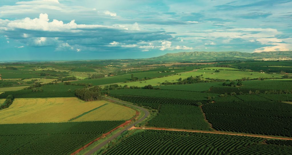 Plano Safra 2025/2026: São Paulo movimenta R$ 29,7 bilhões em crédito rural até maio de 2026
