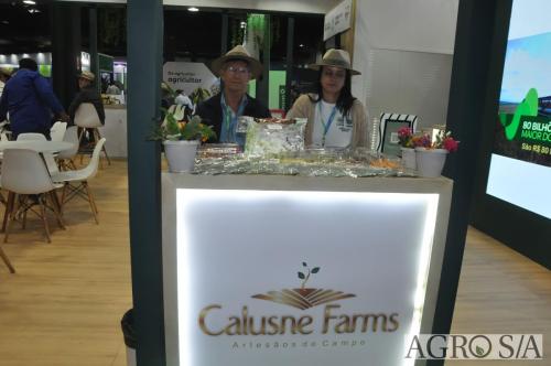 99-CCAGRO-2025-101