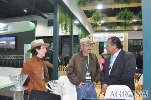 99-CCAGRO-2025-272