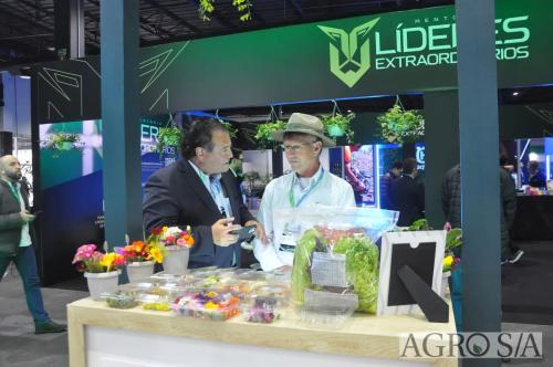 99-CCAGRO-2025-274