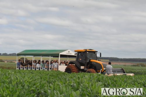 maira-cooper-126.remini-enhanced