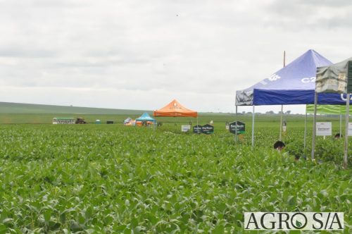 maira-cooper-147.remini-enhanced