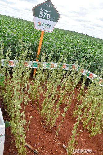 maira-cooper-231.remini-enhanced