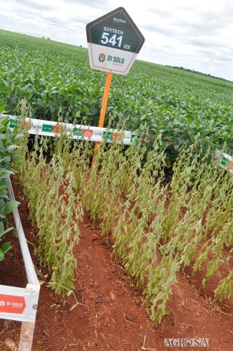 maira-cooper-232.remini-enhanced