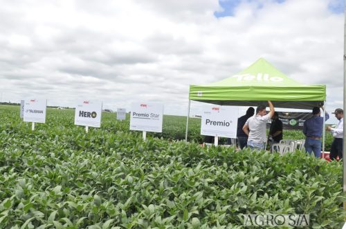 maira-cooper-233.remini-enhanced