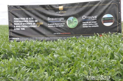 maira-cooper-236.remini-enhanced