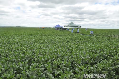 maira-cooper-245.remini-enhanced