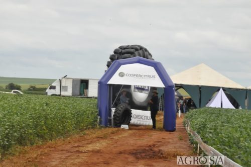 maira-cooper-246.remini-enhanced