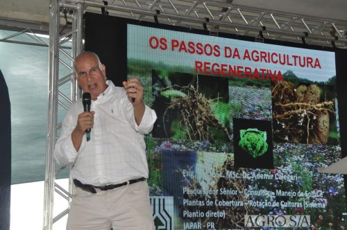 maira-cooper-279.remini-enhanced