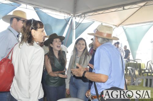 maira-cooper-361.remini-enhanced