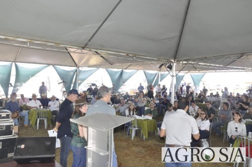 maira-cooper-404.remini-enhanced