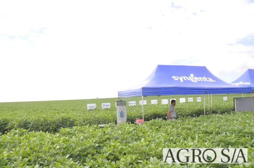 maira-cooper-412.remini-enhanced