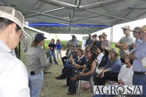 maira-cooper-419.remini-enhanced