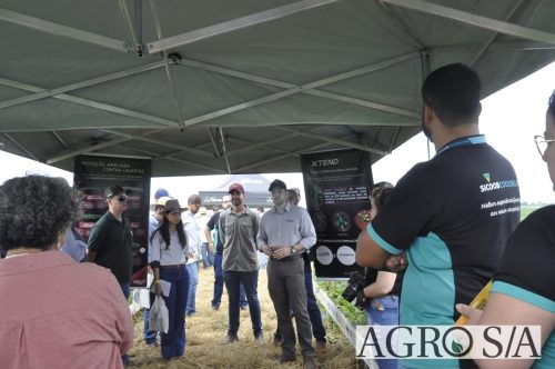 maira-cooper-434.remini-enhanced