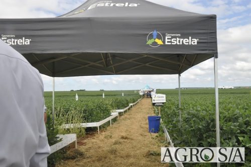 maira-cooper-435.remini-enhanced