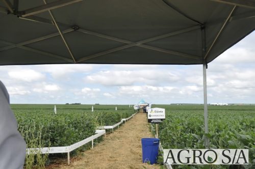 maira-cooper-437.remini-enhanced