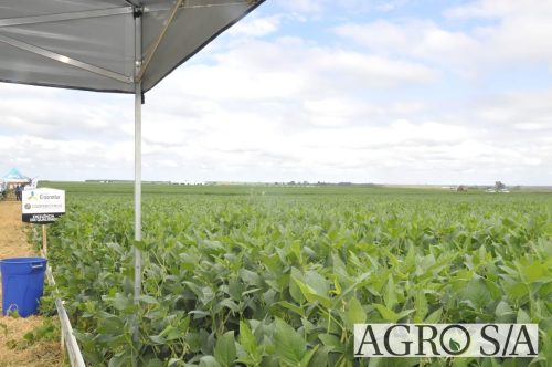 maira-cooper-438.remini-enhanced