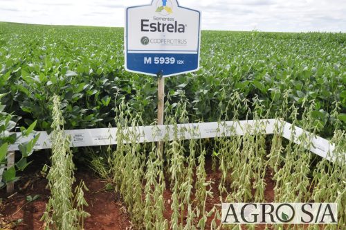 maira-cooper-440.remini-enhanced