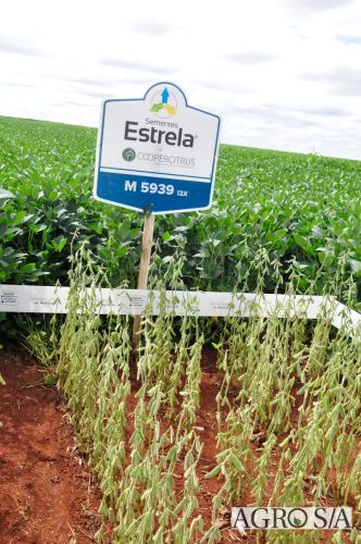 maira-cooper-441.remini-enhanced