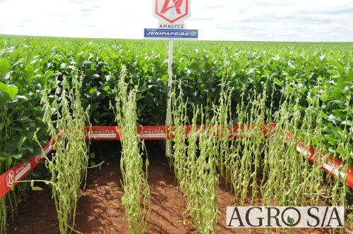 maira-cooper-444.remini-enhanced