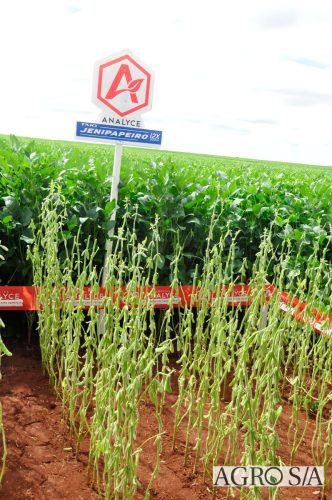 maira-cooper-445.remini-enhanced