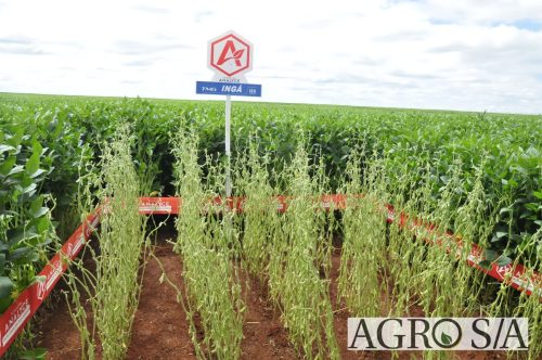 maira-cooper-446.remini-enhanced