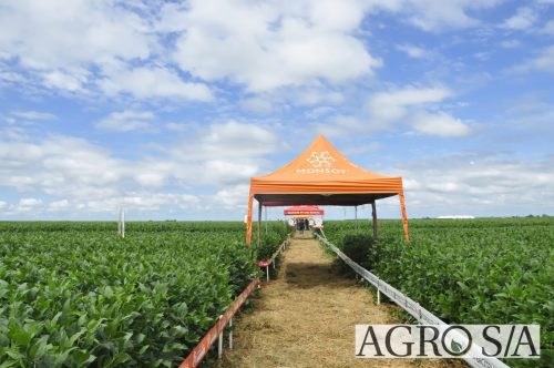 maira-cooper-447.remini-enhanced