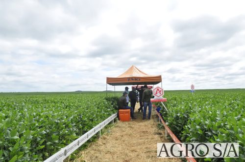 maira-cooper-448.remini-enhanced