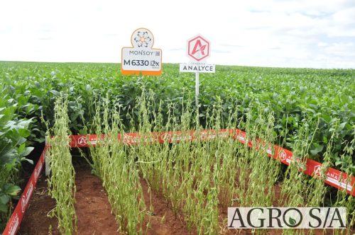 maira-cooper-449.remini-enhanced