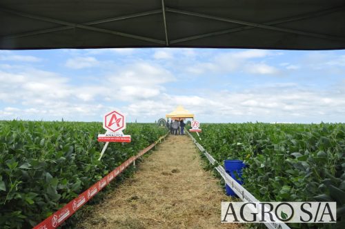 maira-cooper-450.remini-enhanced