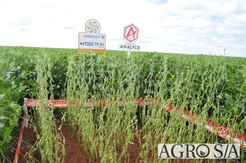 maira-cooper-451.remini-enhanced