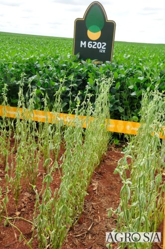 maira-cooper-457.remini-enhanced