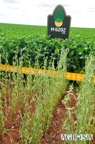 maira-cooper-458.remini-enhanced