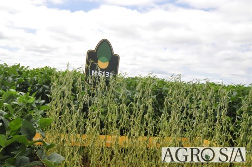 maira-cooper-460.remini-enhanced