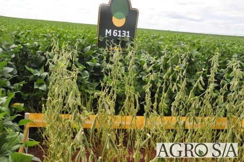 maira-cooper-462.remini-enhanced