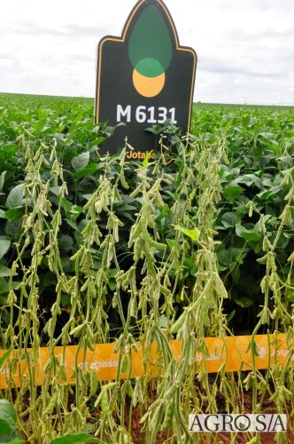 maira-cooper-463.remini-enhanced