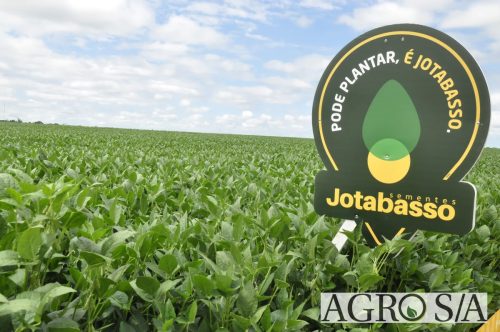 maira-cooper-467.remini-enhanced