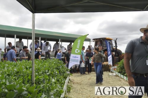 maira-cooper-476.remini-enhanced