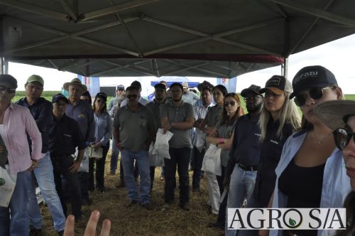 maira-cooper-481.remini-enhanced