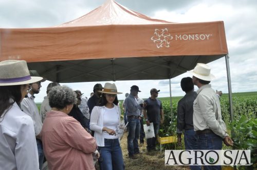 maira-cooper-487.remini-enhanced