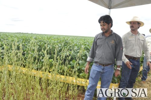 maira-cooper-490.remini-enhanced