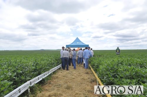 maira-cooper-495.remini-enhanced