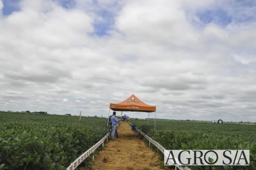 maira-cooper-496.remini-enhanced