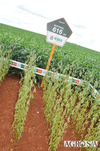 maira-cooper-498.remini-enhanced