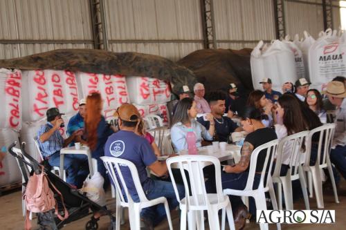 dedeagro-2024-135