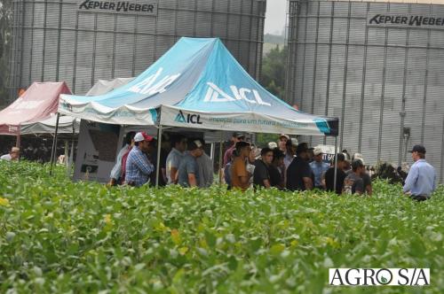 dedeagro-2024-173