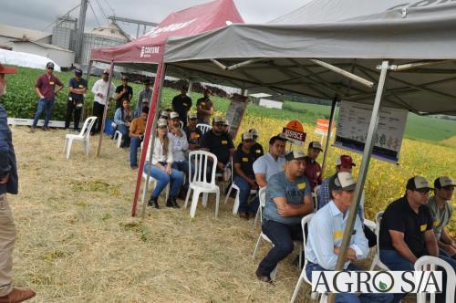 dedeagro-2024-258