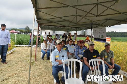 dedeagro-2024-259