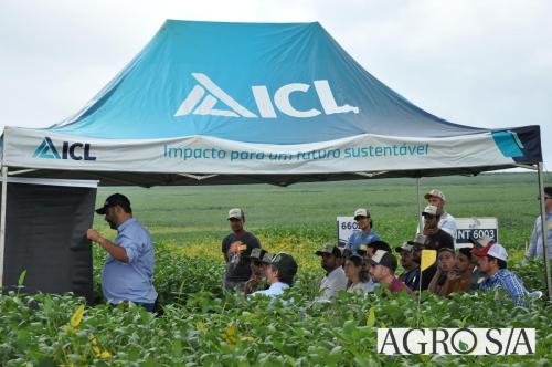 dedeagro-2024-262